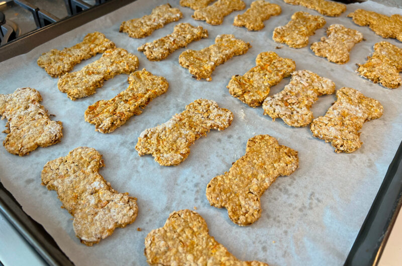 Oat Carrot Spring Dog Cookies