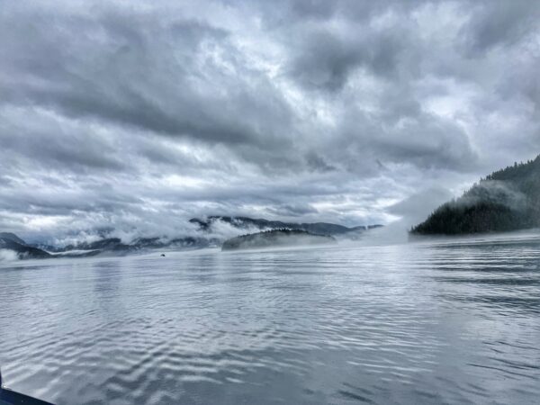 IMG_8220