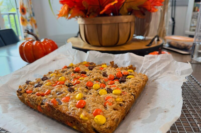 Fall Oatmeal Dark Chocolate Bars