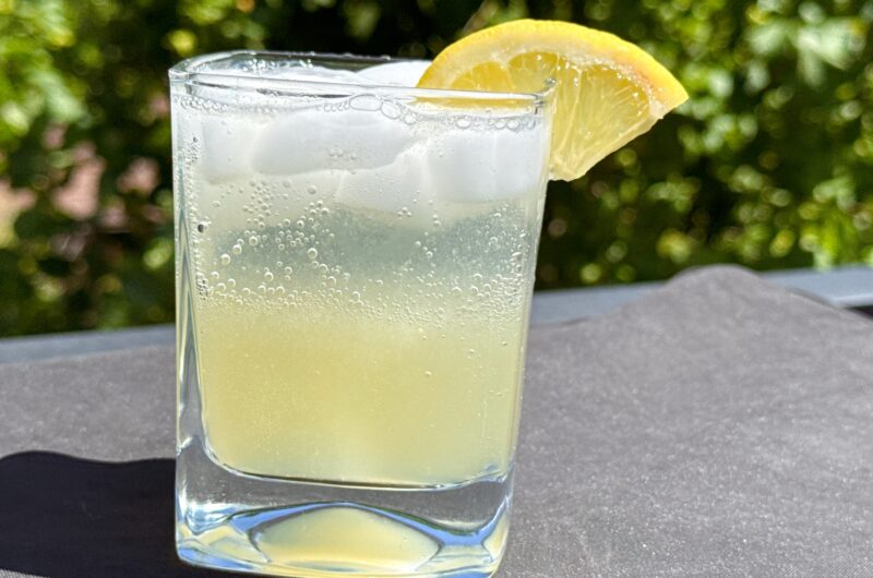 Summer Vodka Fizz